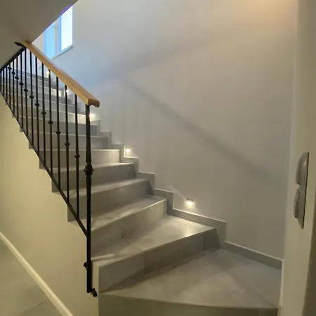 Arnika * Lądek-Zdrój