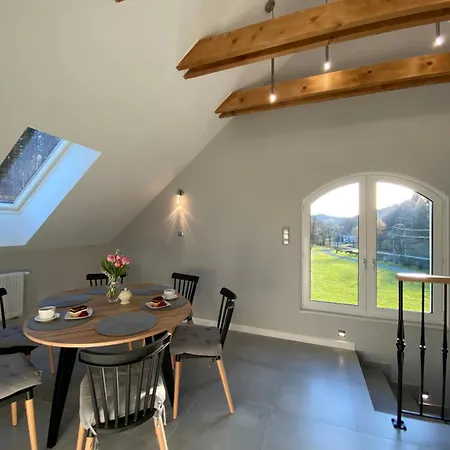 Arnika * Lądek-Zdrój