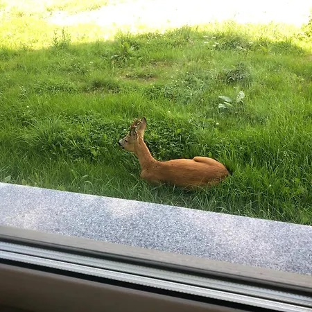 Appartamento Arnika Lądek-Zdrój