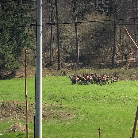 Arnika Appartamento *