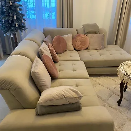 Arnika * Lądek-Zdrój