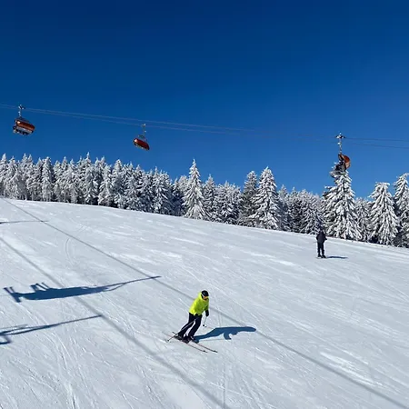 Appartamento Arnika *