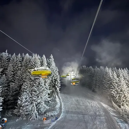 Arnika * Lądek-Zdrój