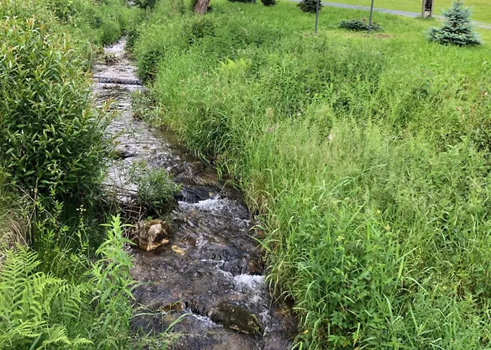 Apartment Arnika Ladek-Zdroj