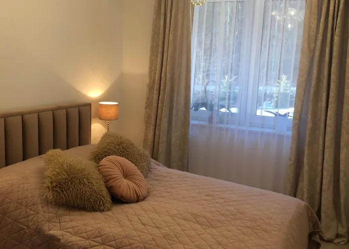 Arnika * Ladek-Zdroj