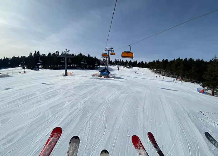 Arnika Apartment Ladek-Zdroj